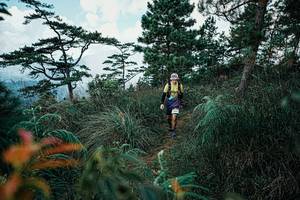 BIB: 
                            <button type="button" onclick="openModal(25260579)" class="btn btn-primary btn-sm float-right btn-popup" data-toggle="modal" data-target=".modal-high-quality">
                        <i class="fas fa-shopping-cart"></i> Add to Cart
                    </button>
                                            <button type="button" onclick="isThisMe(25260579, true)" class="btn btn-success btn-sm float-right btn-popup btn-isme hidden" data-toggle="tooltip" data-placement="bottom" title="นี่คือรูปของคุณใช่ไหม คลิกที่นี่เพื่อเอาเข้าอัลบั้ม">
                        <i class="fas fa-plus"></i> Add to album
                    </button>
                    <button type="button" onclick="isThisMe(25260579, false)" class="btn btn-warning btn-sm float-right btn-popup btn-isnotme hidden">
                        <i class="fas fa-ban"></i> Remove from album
                    </button>